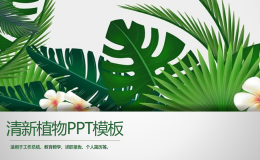 绿色宽叶植物背景幻灯片PPT模板下载