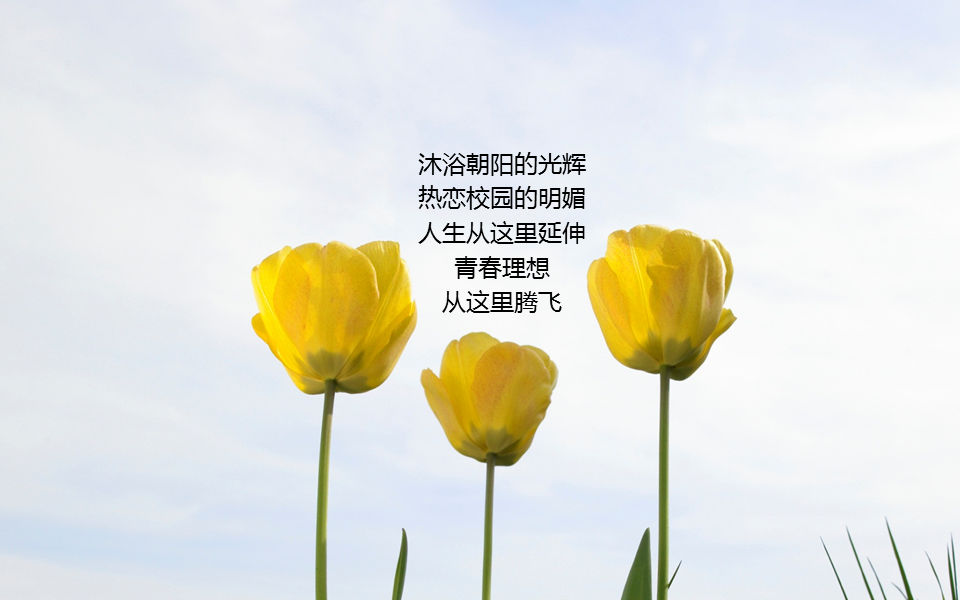 老师您辛苦了教师节幻灯片PPT模板素材免费下载 (5).PNG