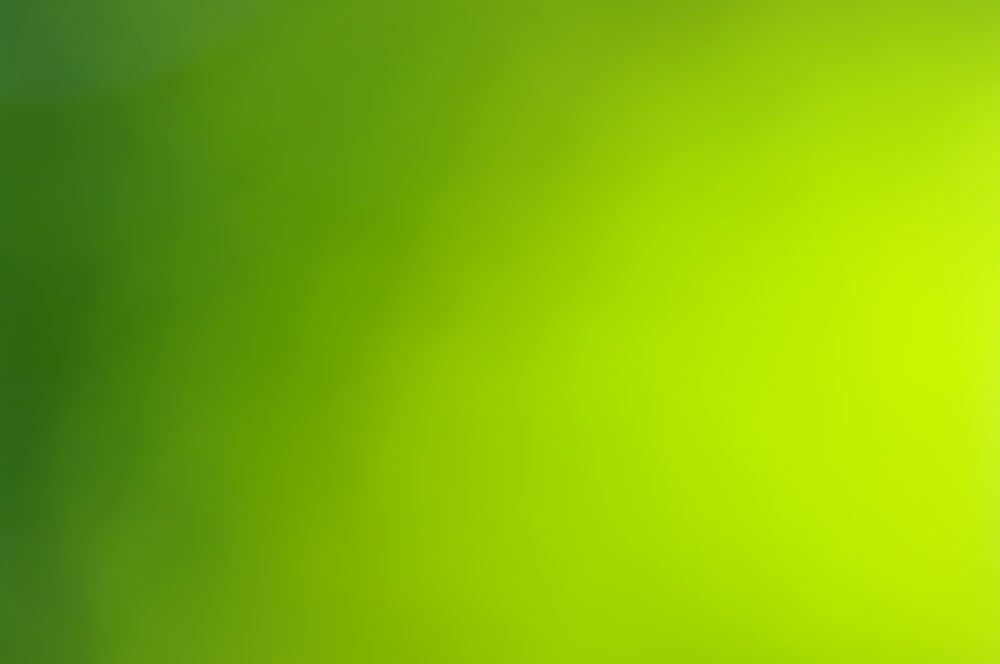 一组绿色简洁幻灯片PPT模板素材免费下载 (3).jpg
