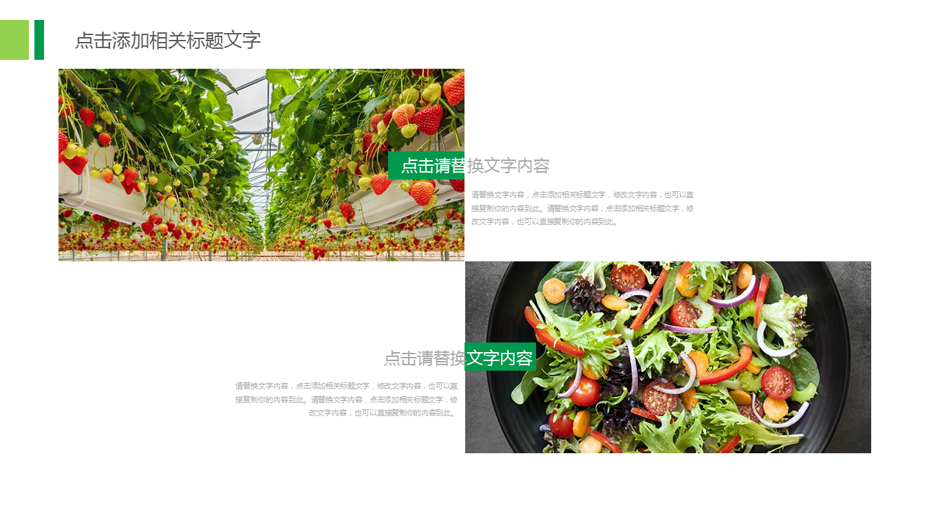 蔬菜农产品幻灯片PPT模板 (10).PNG