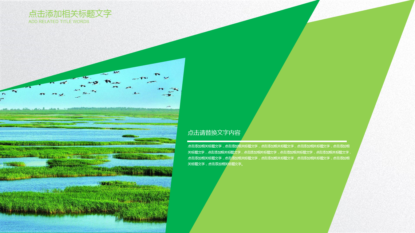 图片拼合效果的绿色环境保护PPT模板免费下载 (7).PNG