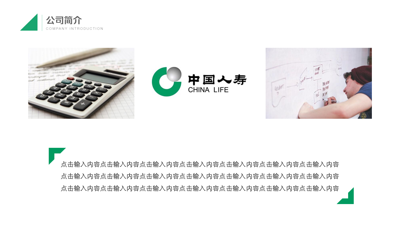 绿色中国人寿保险公司幻灯片PPT模板