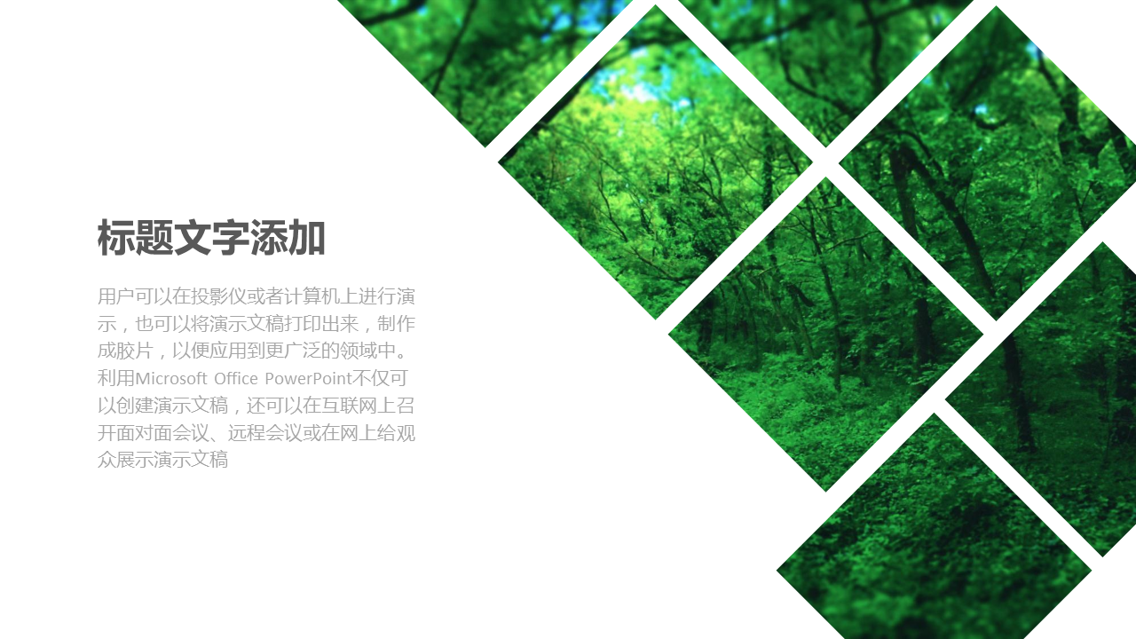 绿色森林背景环境保护幻灯片PPT模板下载