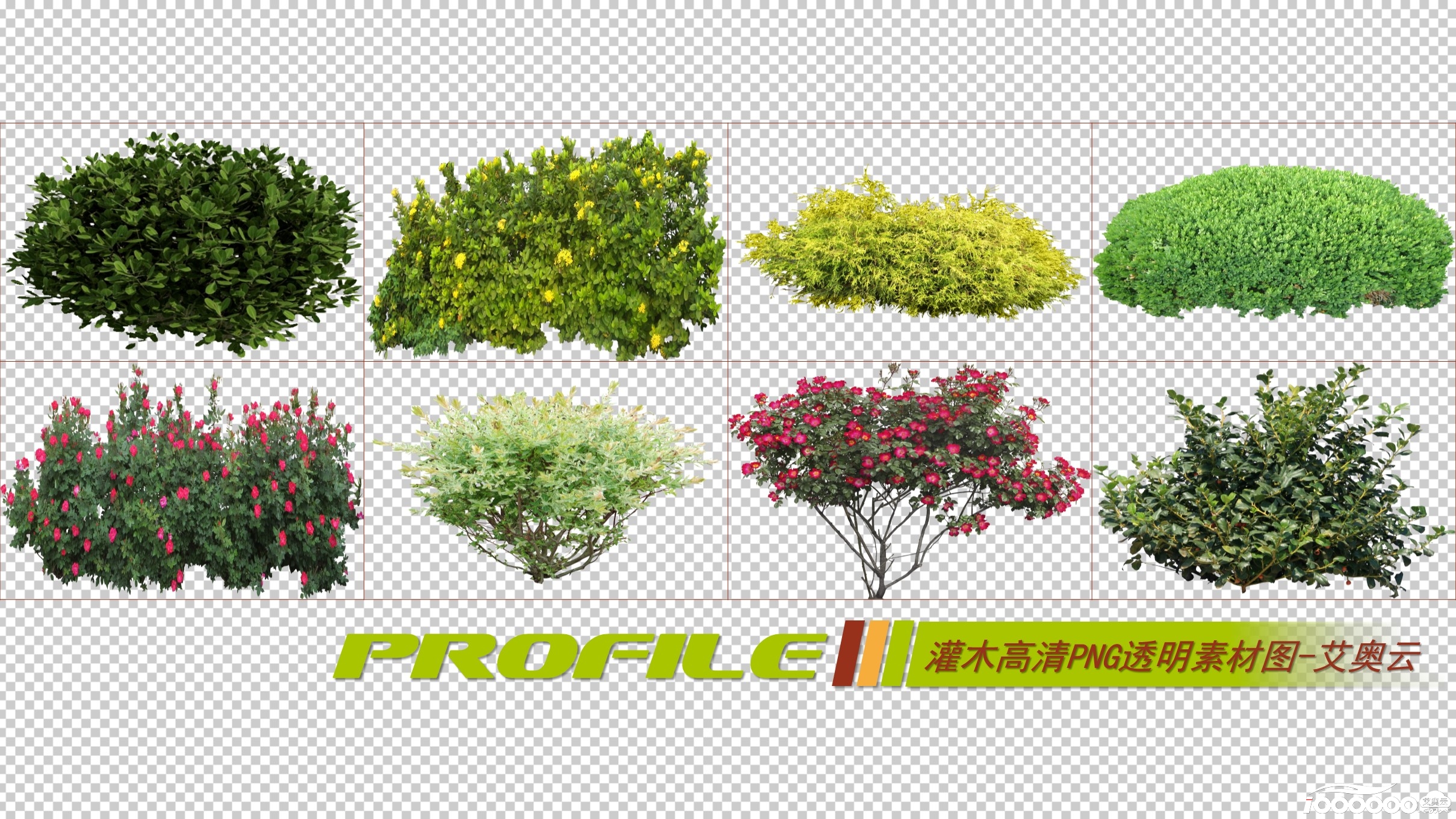 灌木高清png透明图片图形素材打包免费下载 (2).JPG