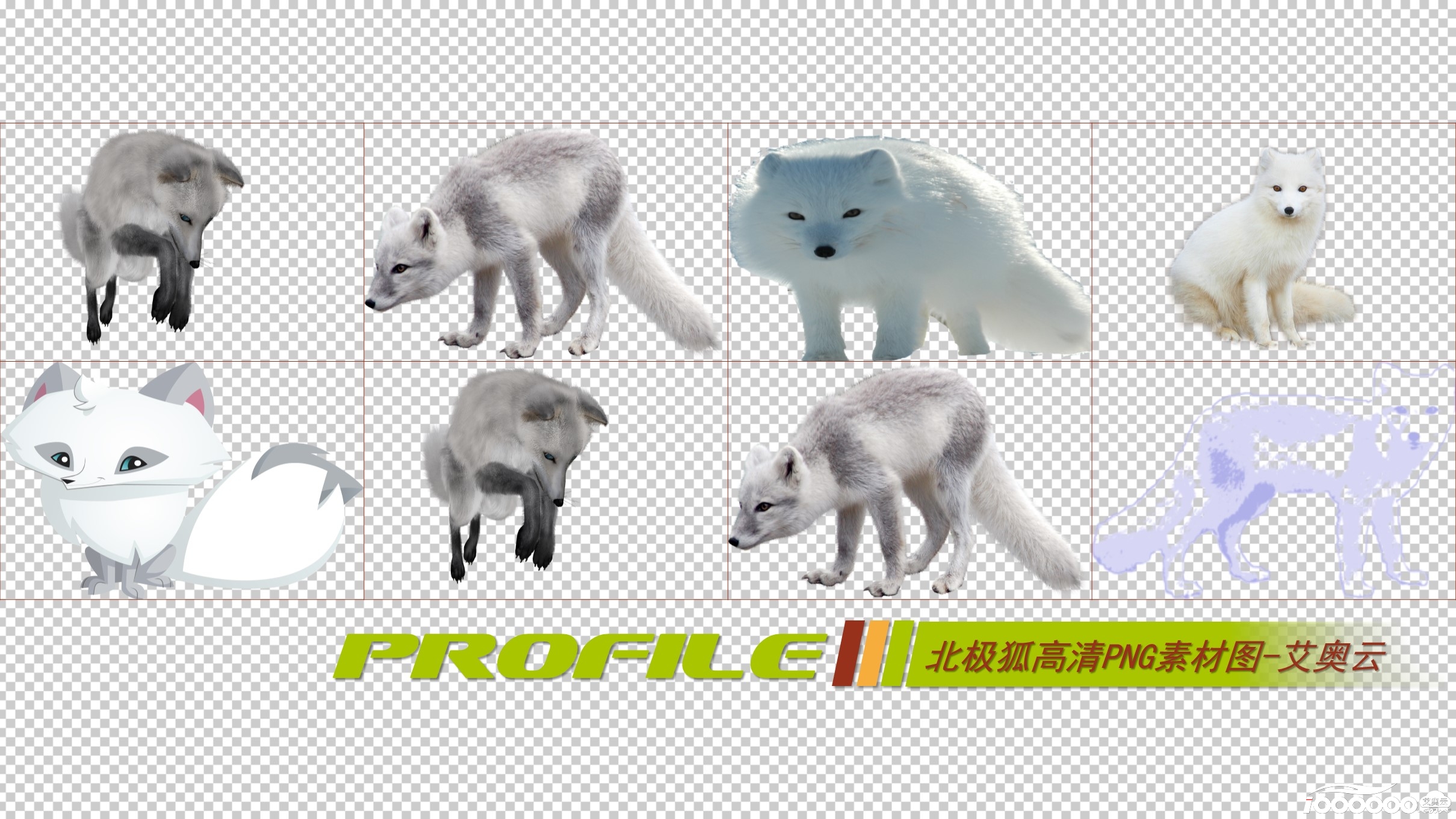 北极狐高清png透明图片图形素材打包免费下载 (1).JPG
