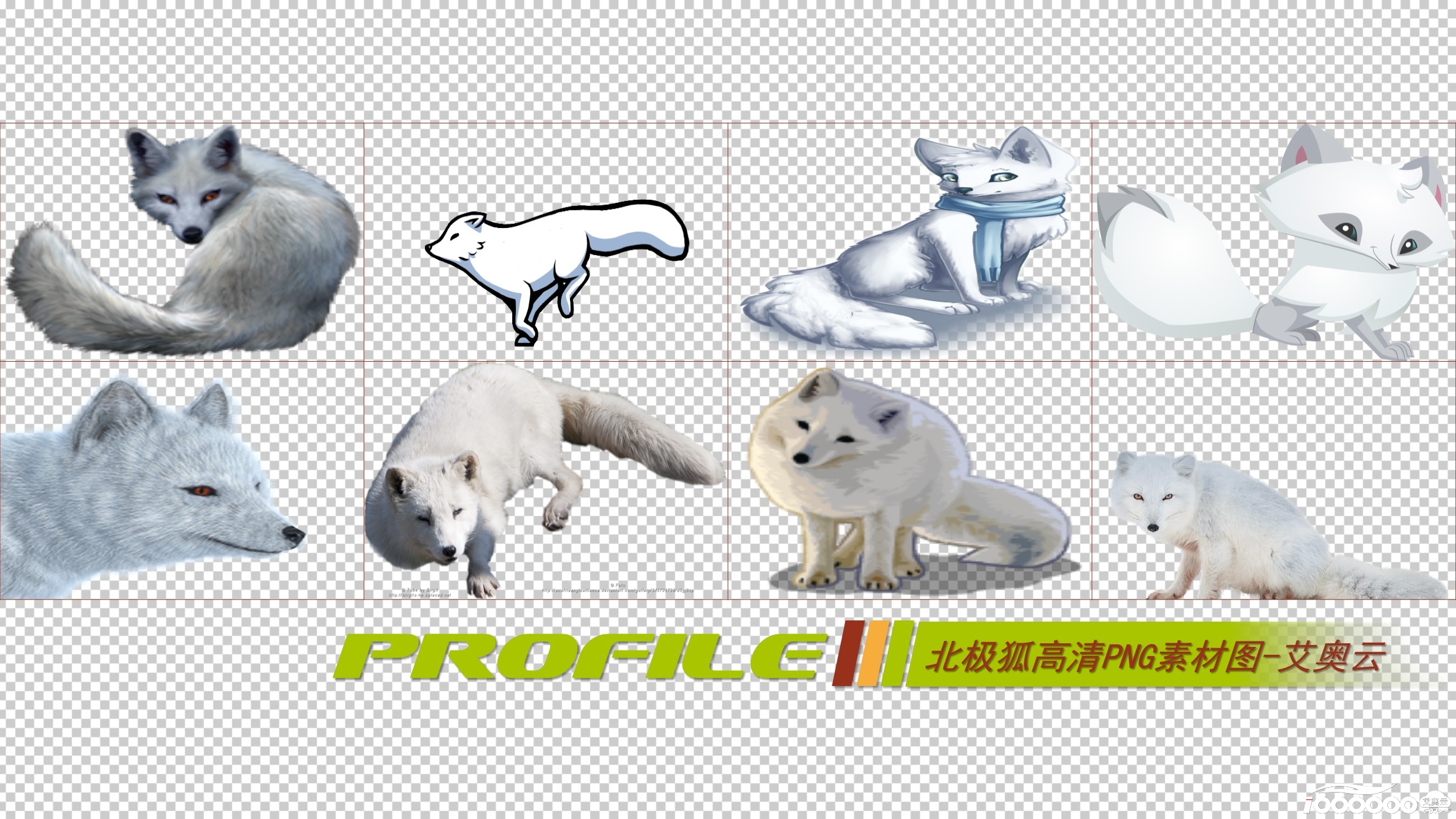 北极狐高清png透明图片图形素材打包免费下载 (2).JPG