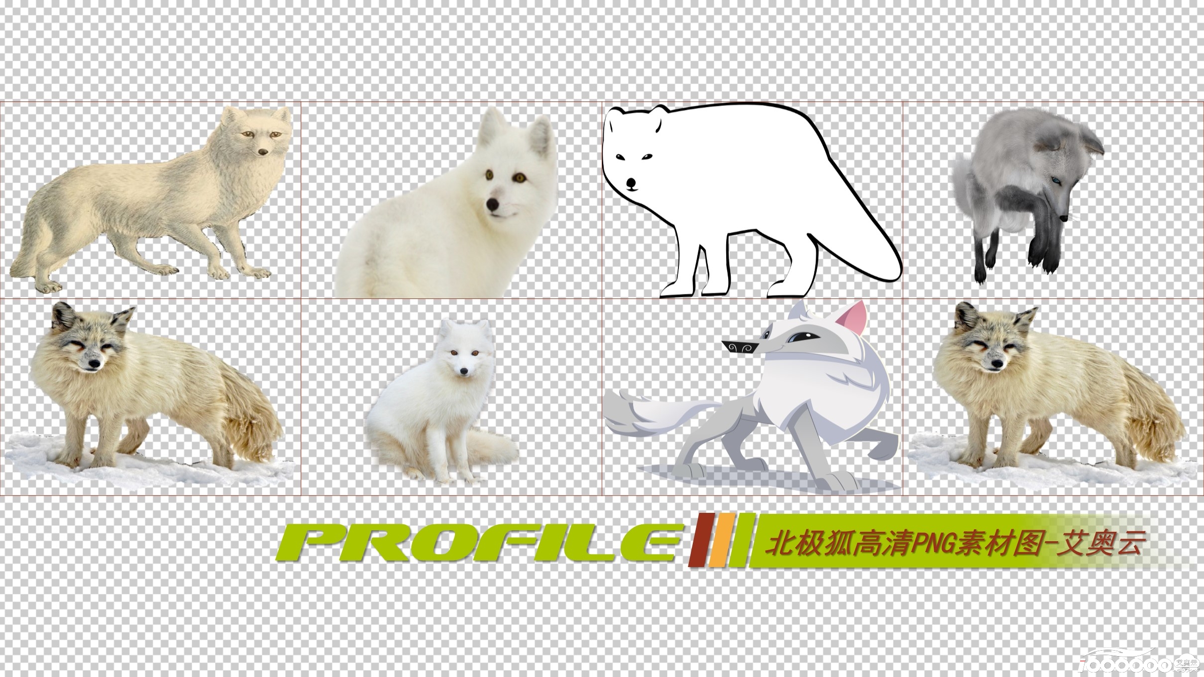 北极狐高清png透明图片图形素材打包免费下载 (3).JPG