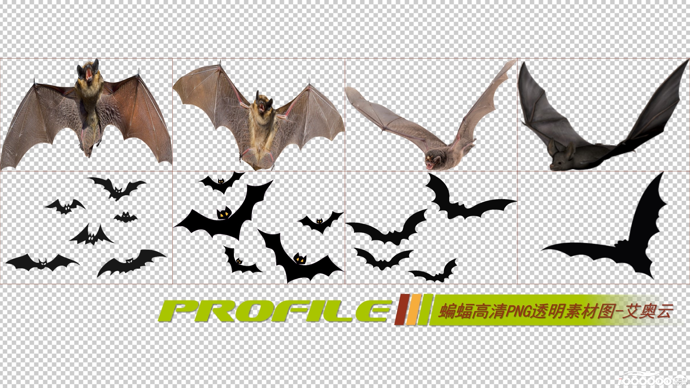 蝙蝠高清png透明图片图形素材打包免费下载 (1).JPG