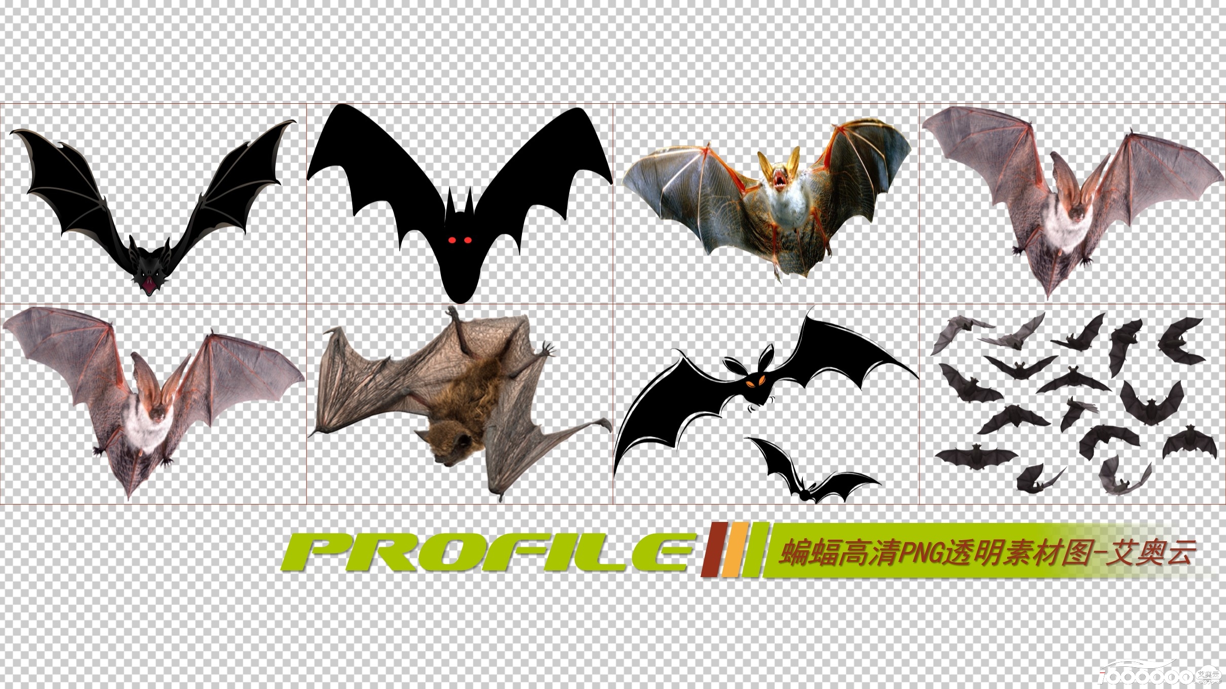 蝙蝠高清png透明图片图形素材打包免费下载 (4).JPG