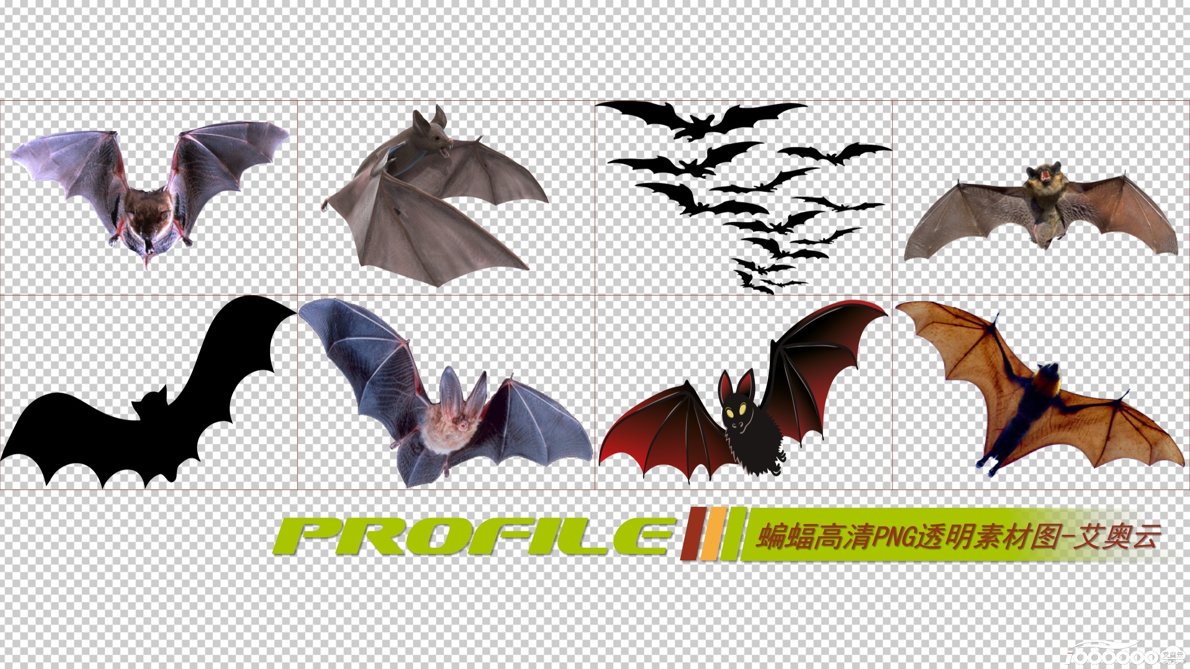 蝙蝠高清png透明图片图形素材打包免费下载 (5).JPG