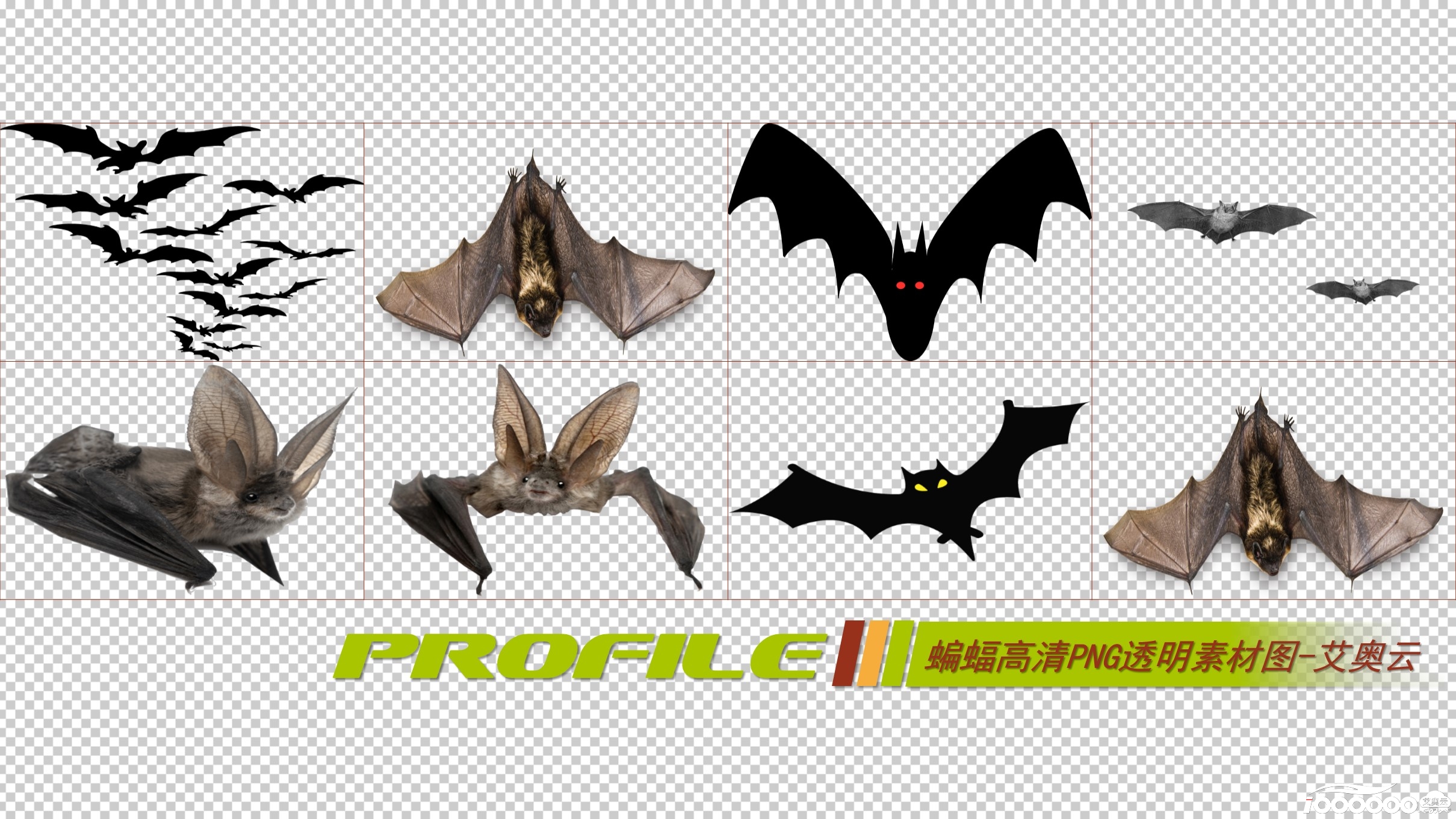 蝙蝠高清png透明图片图形素材打包免费下载 (6).JPG