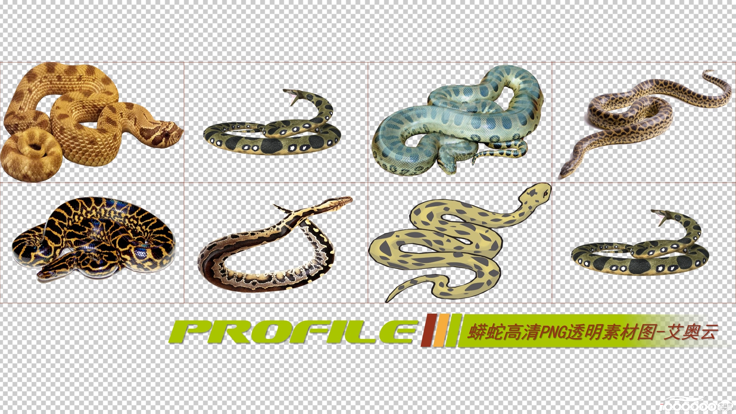 蟒蛇高清png透明图片图形素材打包免费下载 (2).JPG
