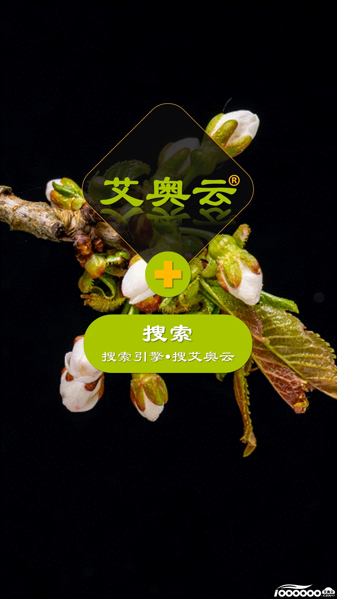水果李子产品项目展示短视频模板动物世界背景音乐 (4).JPG