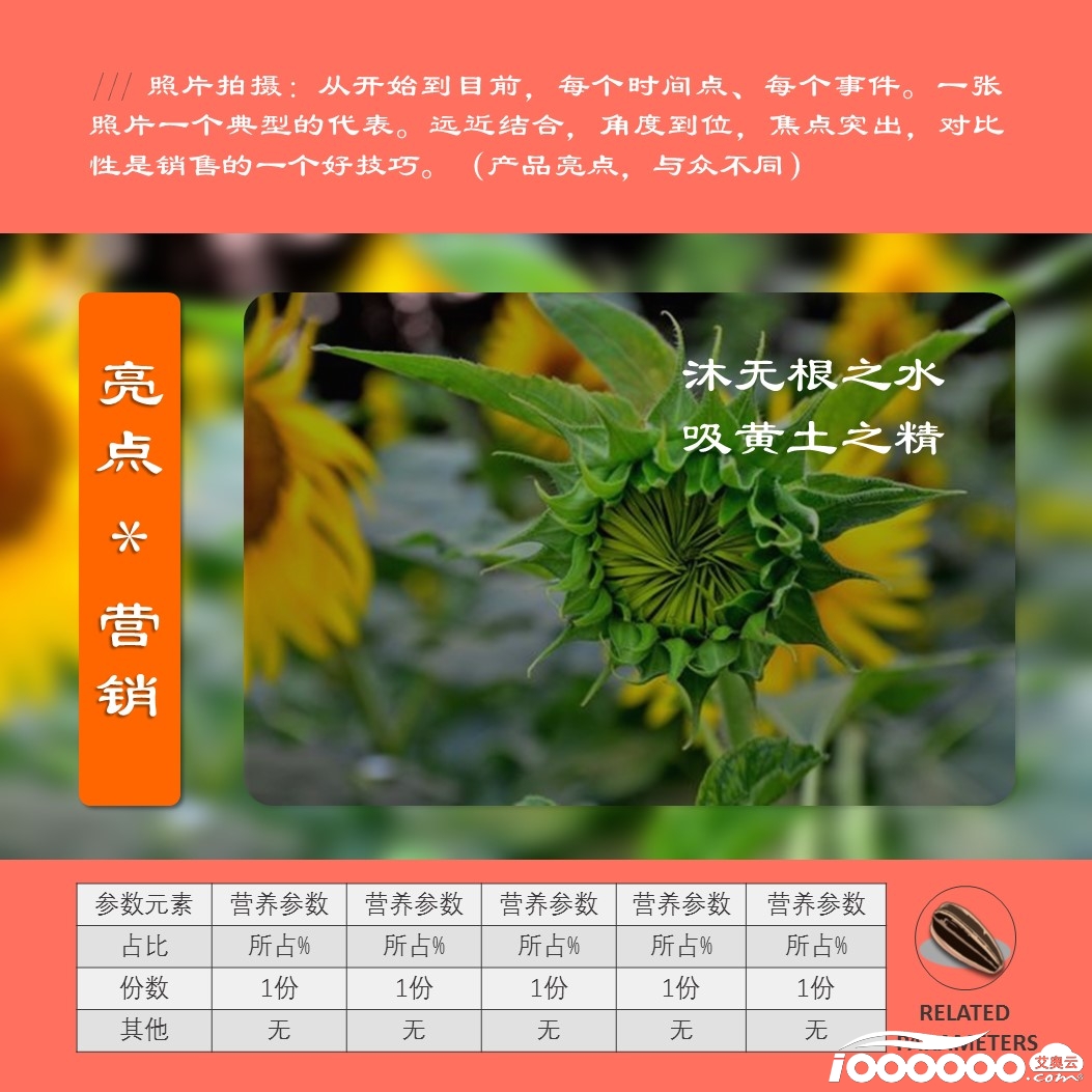 淘宝天猫抖音快手视频号产品短视频设计制作模板-A6美化板 (3).JPG