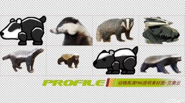 动物高清png透明图片图形素材打包免费下载03