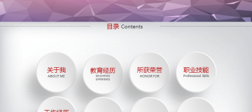 灰色微立体个人求职竞聘幻灯片PPT图表