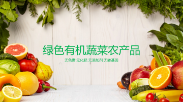 绿色有机蔬菜水果农产品幻灯片PPT模板