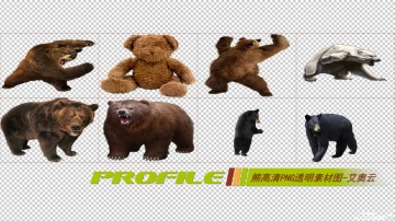 熊高清png透明图片图形素材打包免费下载03