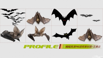 蝙蝠高清png透明图片图形素材打包免费下载06