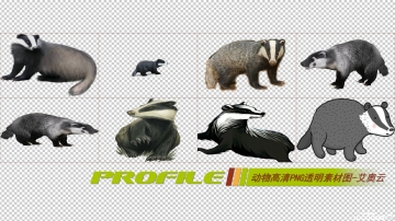动物高清png透明图片图形素材打包免费下载02