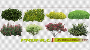 灌木高清png透明图形图片素材打包免费下载02