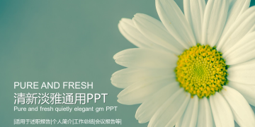 淡雅清新小花背景PPT模板下载