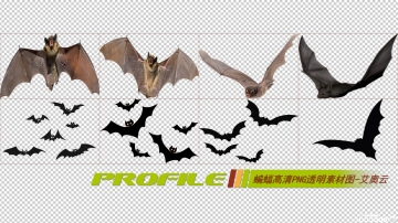 蝙蝠高清png透明图片图形素材打包免费下载01
