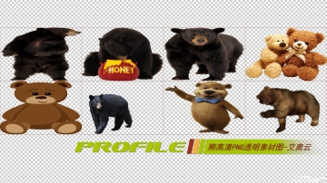 熊类高清png透明图片图形素材打包免费下载01