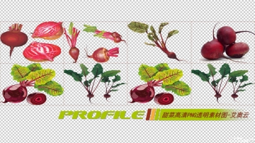 甜菜高清png透明图片图形素材打包免费下载07