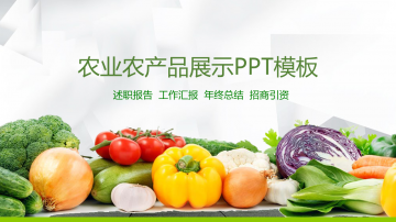 新鲜蔬菜背景农产品幻灯片PPT整套模板