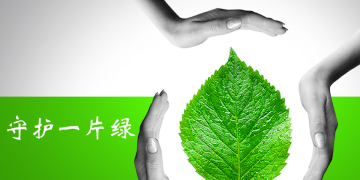 守护一片绿背景绿色环保幻灯片PPT模板下载