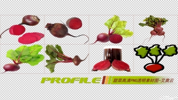 甜菜高清png透明图片图形素材打包免费下载02