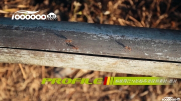 蚂蚁爬行16秒超高清视频素材原片抖音快手微信新自媒体短视频制作素材下载