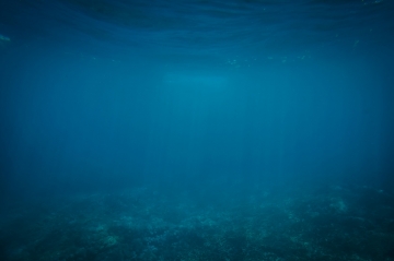 蓝色海底世界简洁幻灯片PPT模板素材下载