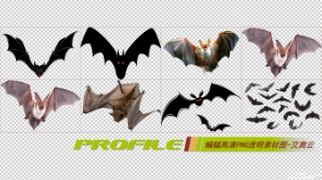 蝙蝠高清png透明图片图形素材打包免费下载04