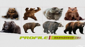 熊高清png透明图片图形素材打包免费下载06