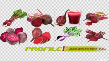 甜菜高清png透明图片图形素材打包免费下载05
