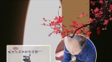 中华书画家协会副主席，张有洛书法《心经》#书法短视频订制下载